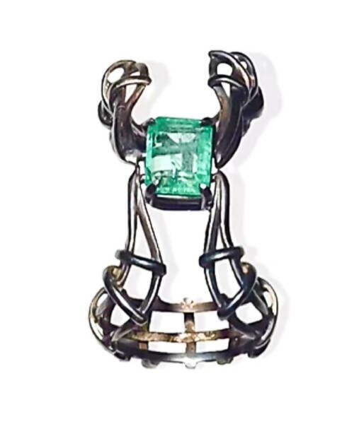 Anel Vertebrae Articulado